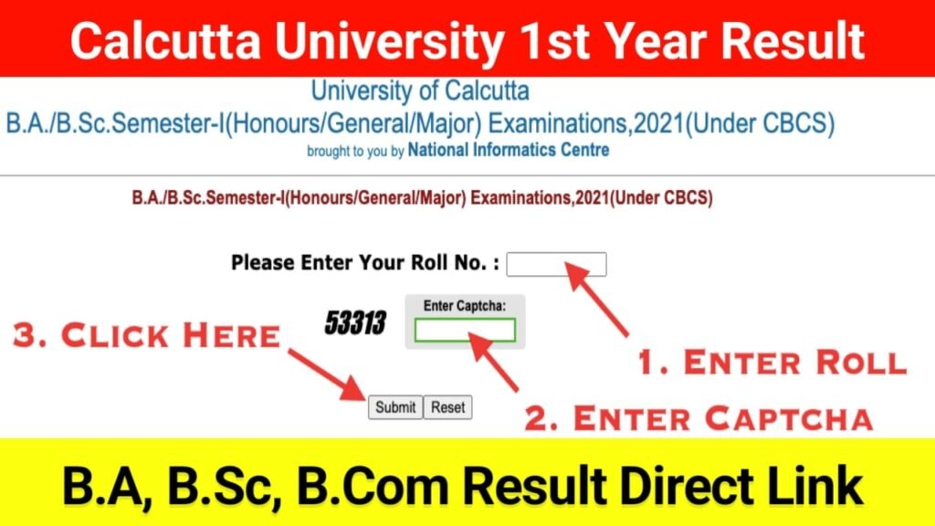 Calcutta University 1st Year Result 2023